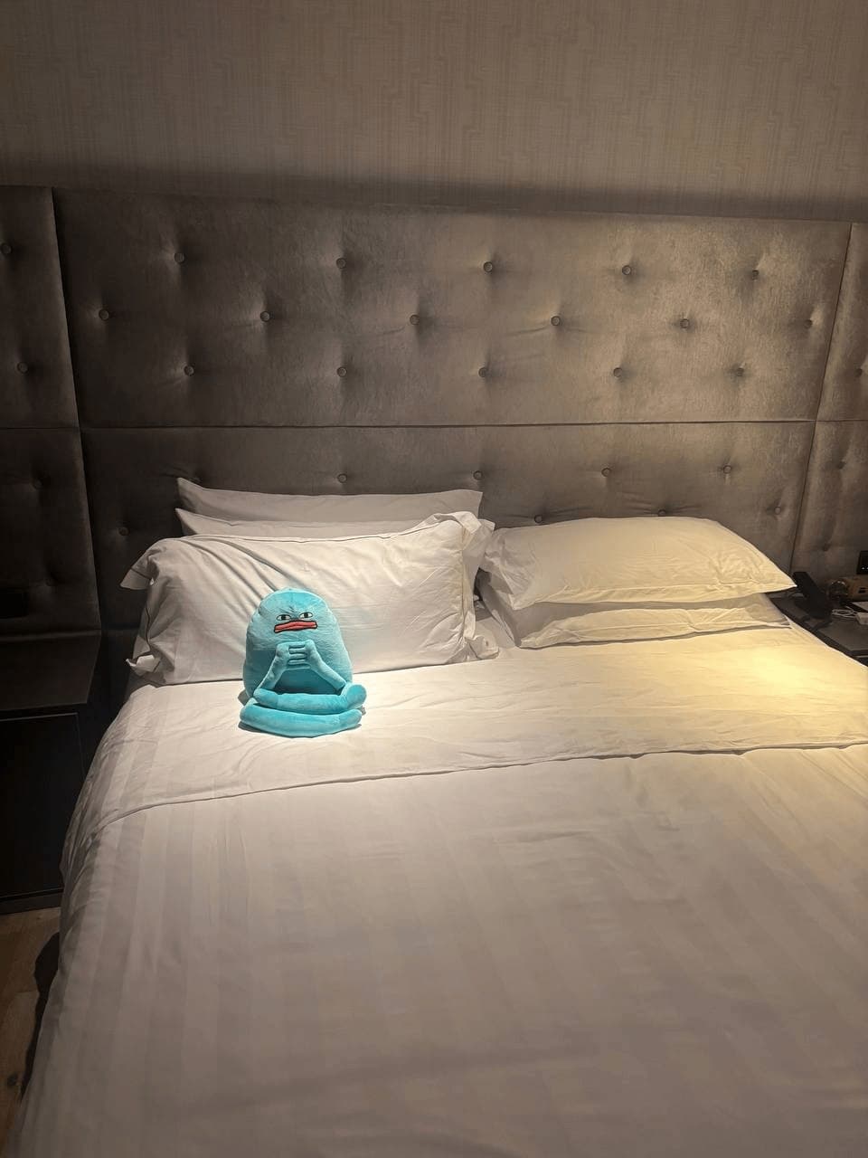 Small Blob sitting alone in the middle of a huge hotel bed